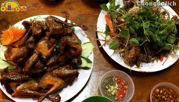 Chim Trang An (Trang An bird dishes) - unique dishes made from wild birds
