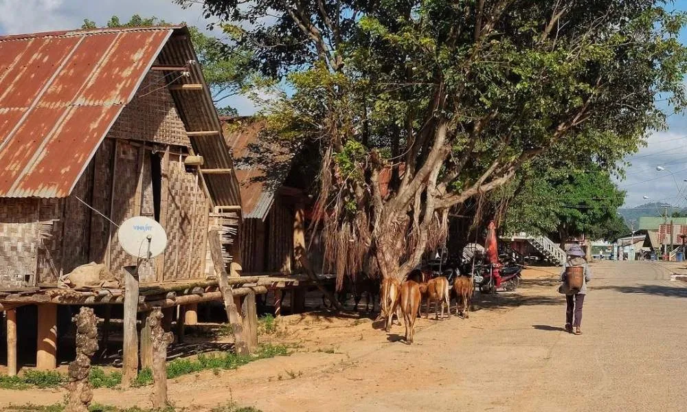 Simple lifestyle of the people in Jun Village