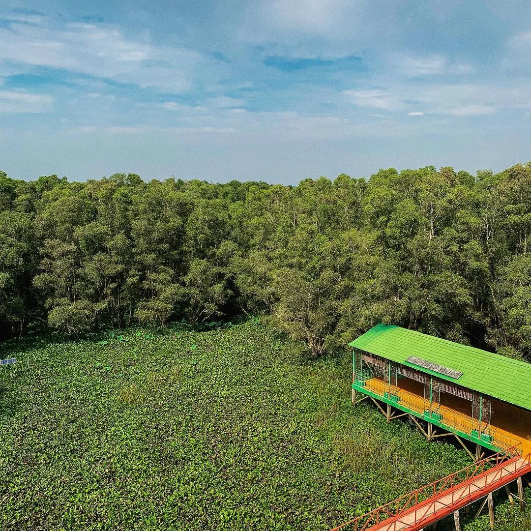 Gao Giong eco-tourism area in Dong Thap