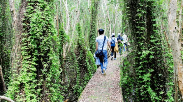 Visitors enjoying the diverse ecosystem of Tan Lap Melaleuca Forest.