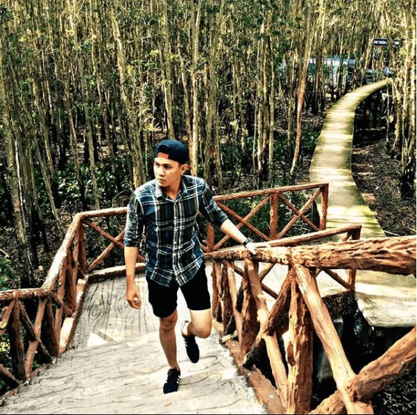 Wooden bridge in the melaleuca forest, a simple yet alluring beauty