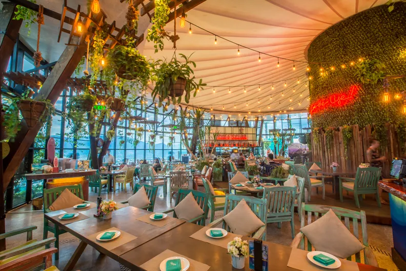 Neatly arranged and spacious dining area at the restaurant