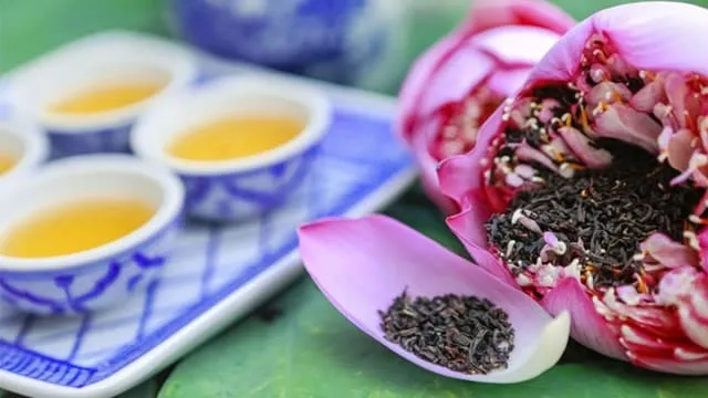 Các loại trà trong trà đạo