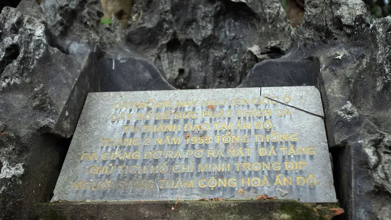 Stone stele under the Bodhi tree, recording the origin and meaning of the tree