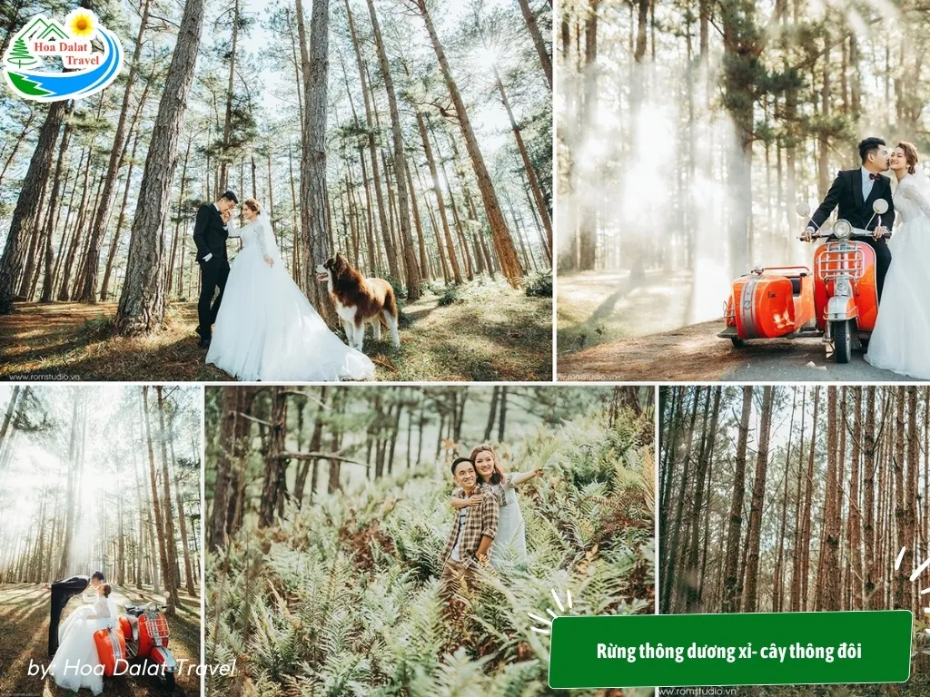 Fern Forest and Twin Pines, offering raw charm and romance, are perfect locations for wedding vows