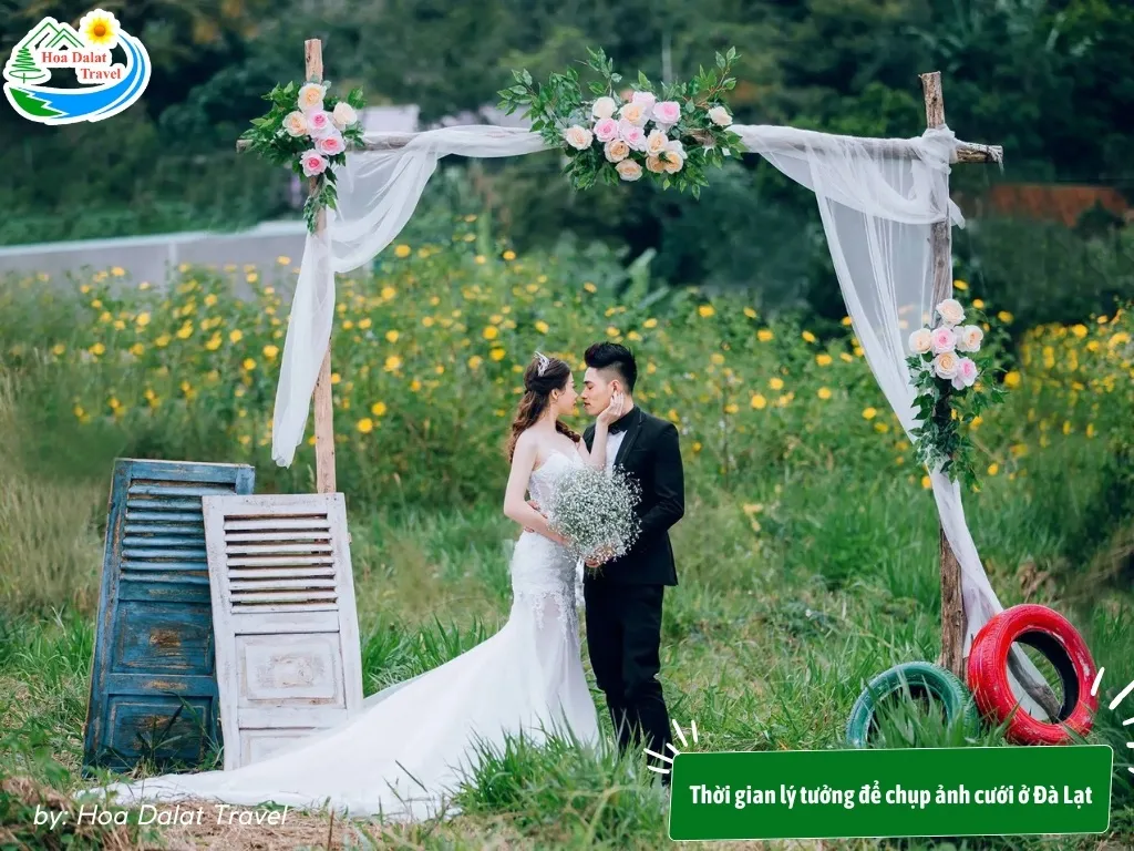 Thời tiết Đà Lạt ôn hòa, dễ chịu, rất thích hợp cho các hoạt động du lịch và chụp ảnh