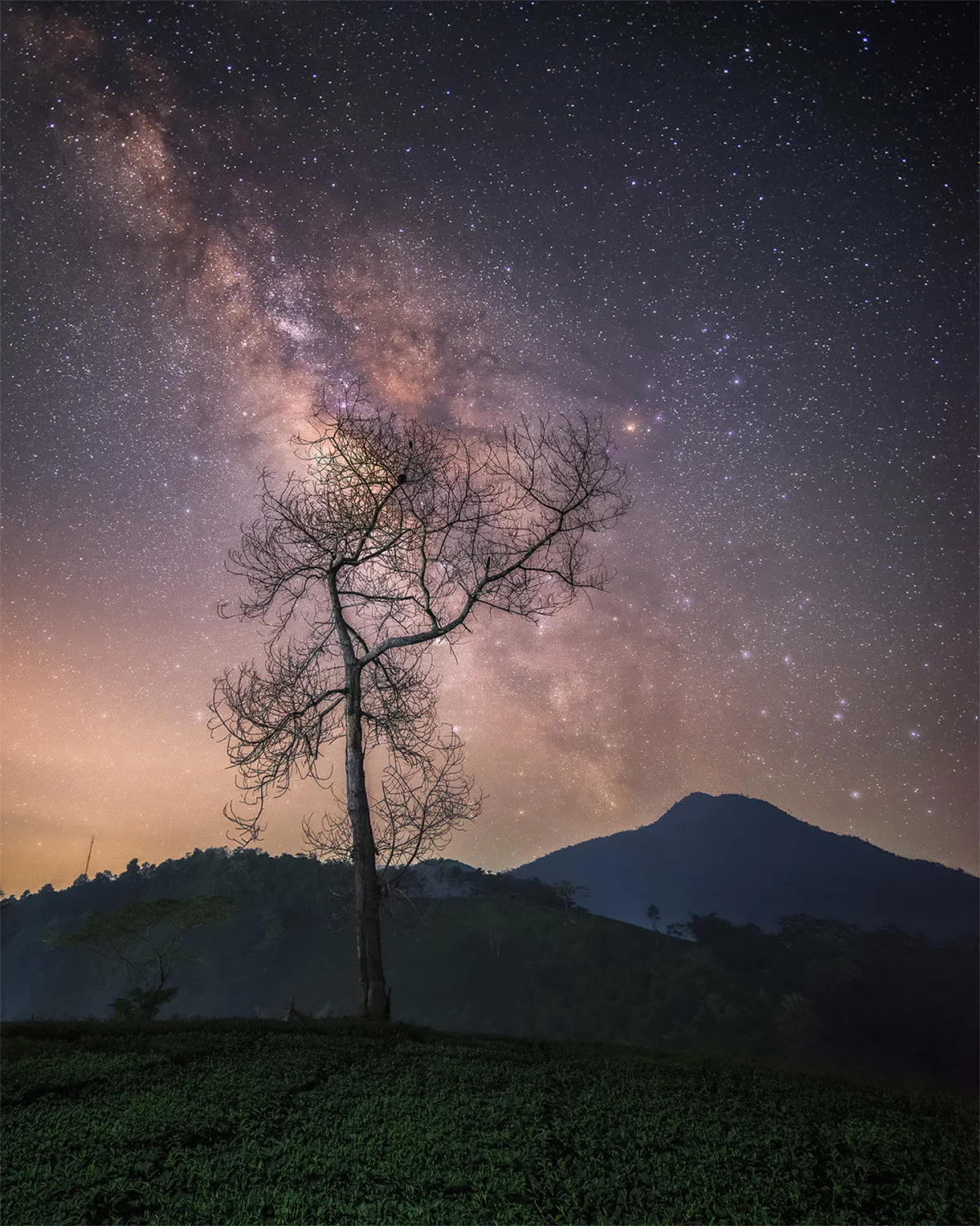 Long Coc Tea Hill, an ideal location for overnight camping and Milky Way hunting