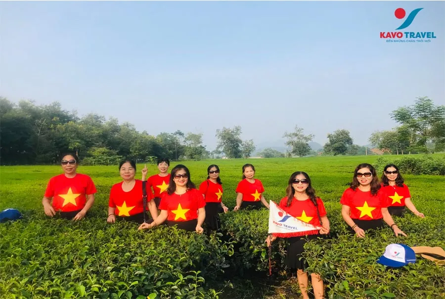 Điểm du lịch đồi chè Thanh Sơn hấp dẫn du khách