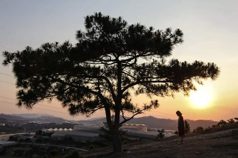 Golden rays fading on the hill. Photo Credit: Hoàng Linh Hà