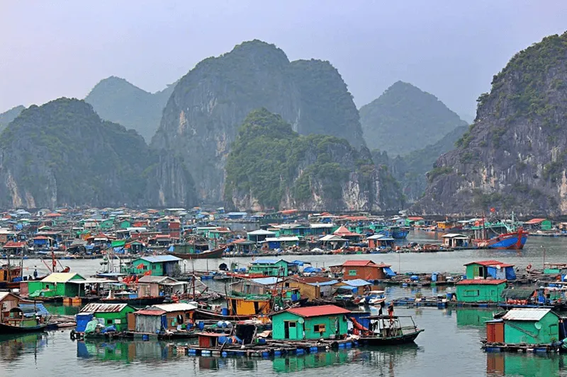 Cai Beo Floating Village