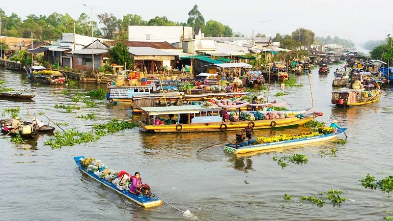 Tourists enjoy boat rides to admire the Mekong Delta floating season scenery