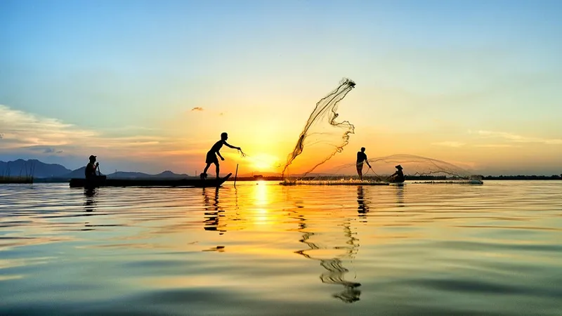 Mekong Delta residents harvesting sesbania sesban flowers during the floating season