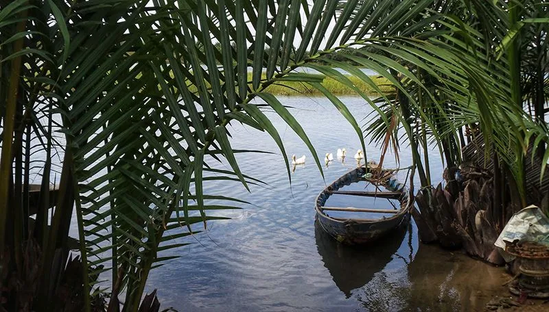 Tourists enjoying a thung boat ride in Bay Mau Coconut Forest