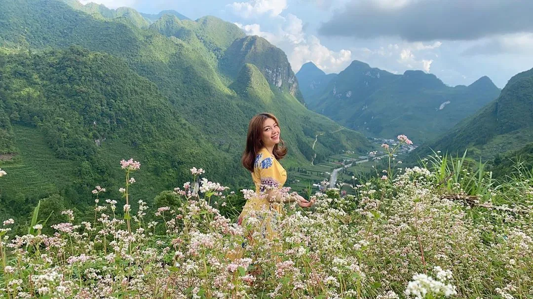 Săn hoa tam giác mạch Hà Giang