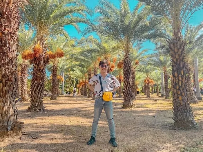 Visitors taking photos at Sa Nhien Date Palm Garden, creating popular social media images