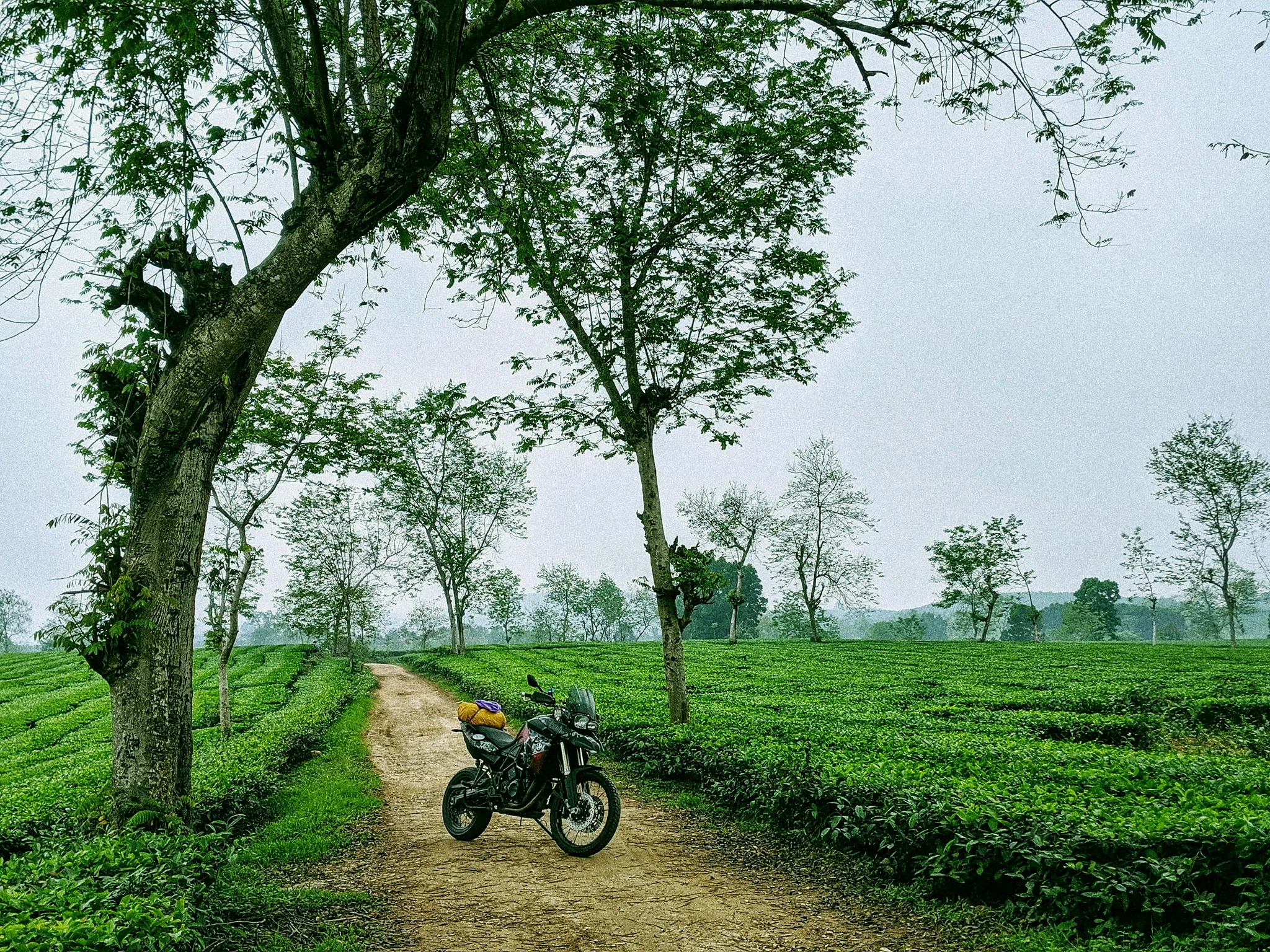 Short rest at Thanh Sơn Tea Hills in Phú Thọ