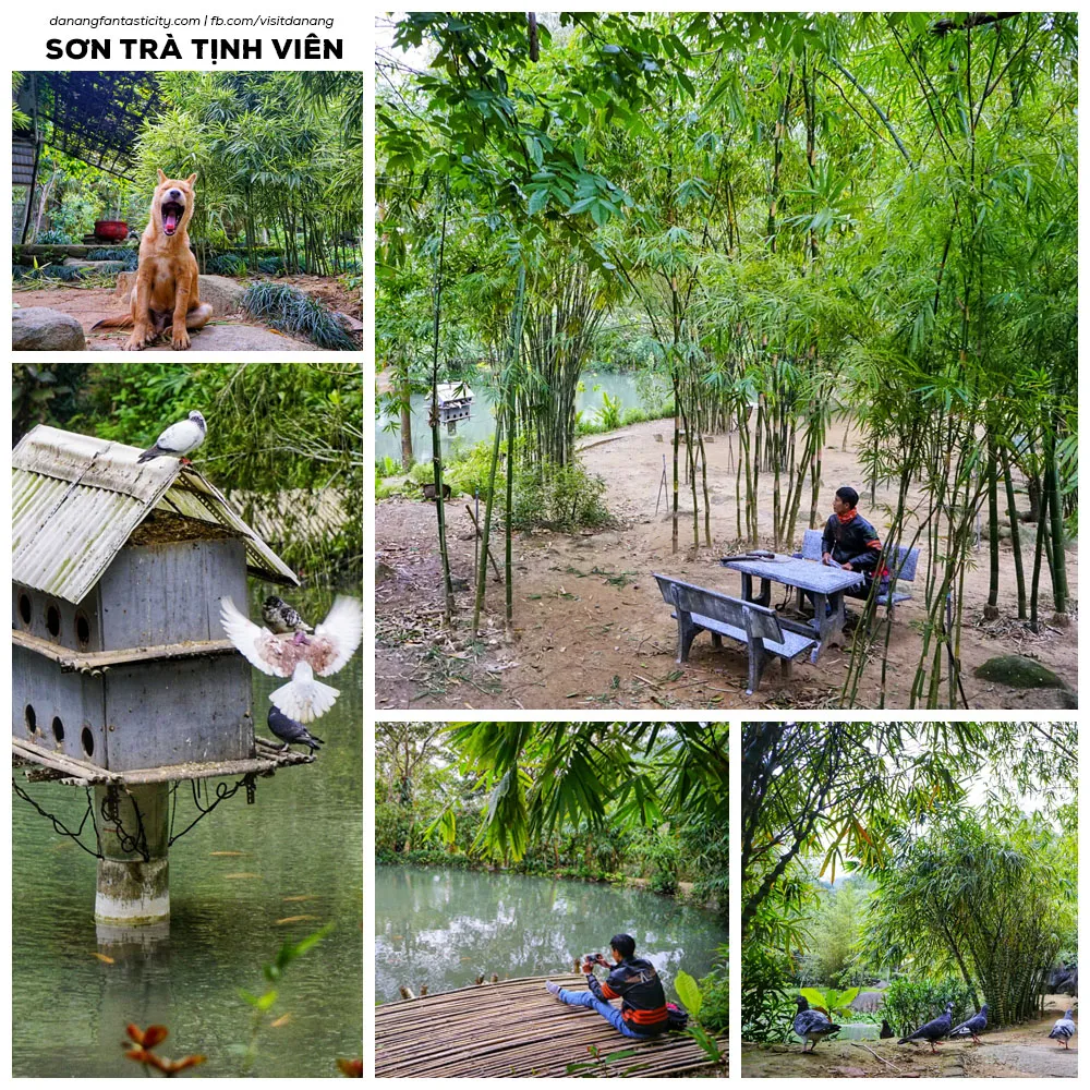 Son Tra Bamboo Garden, Da Nang