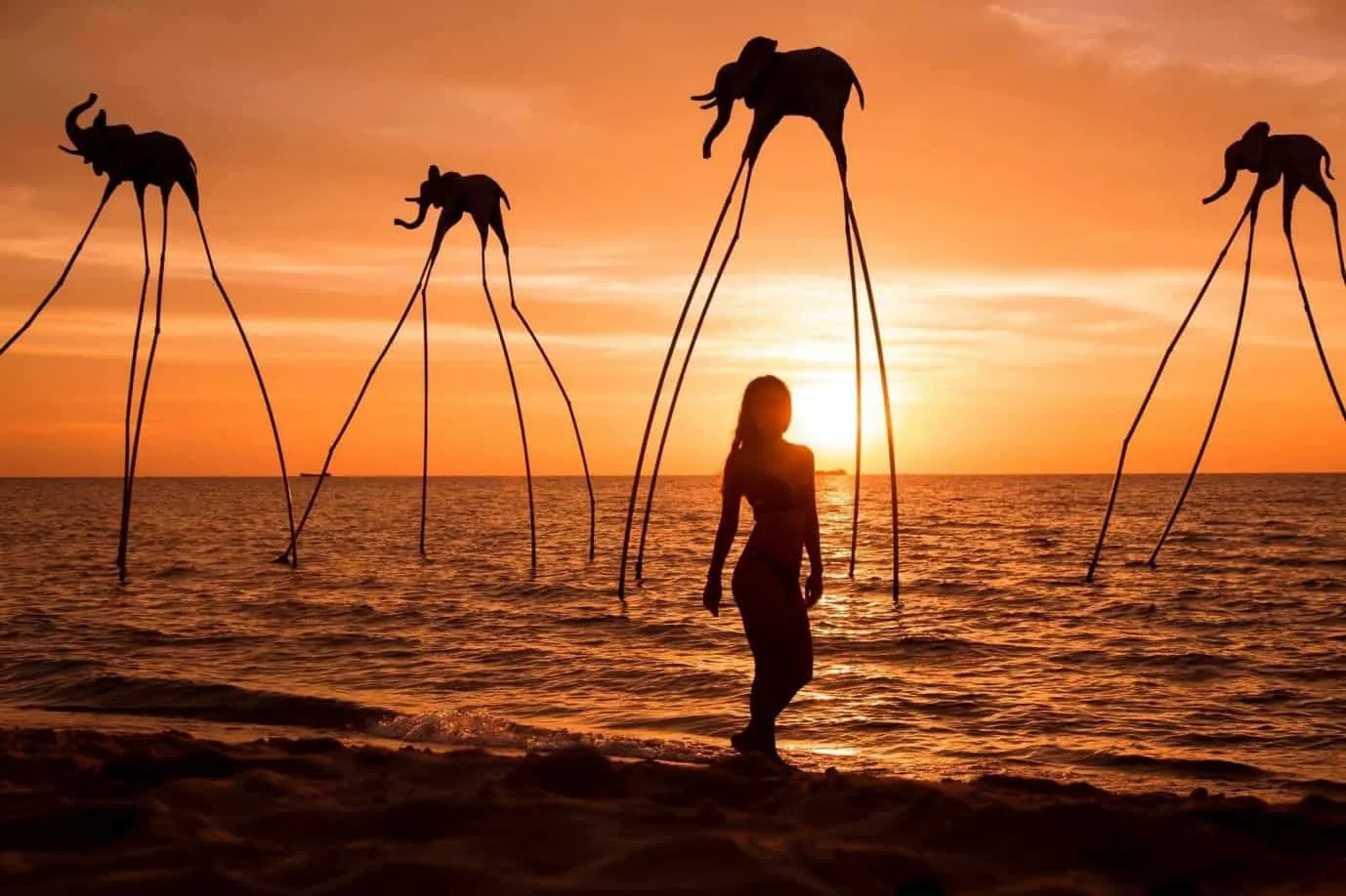Perfect spot for Instagram-worthy photos. Photo: Sunset Sanato
