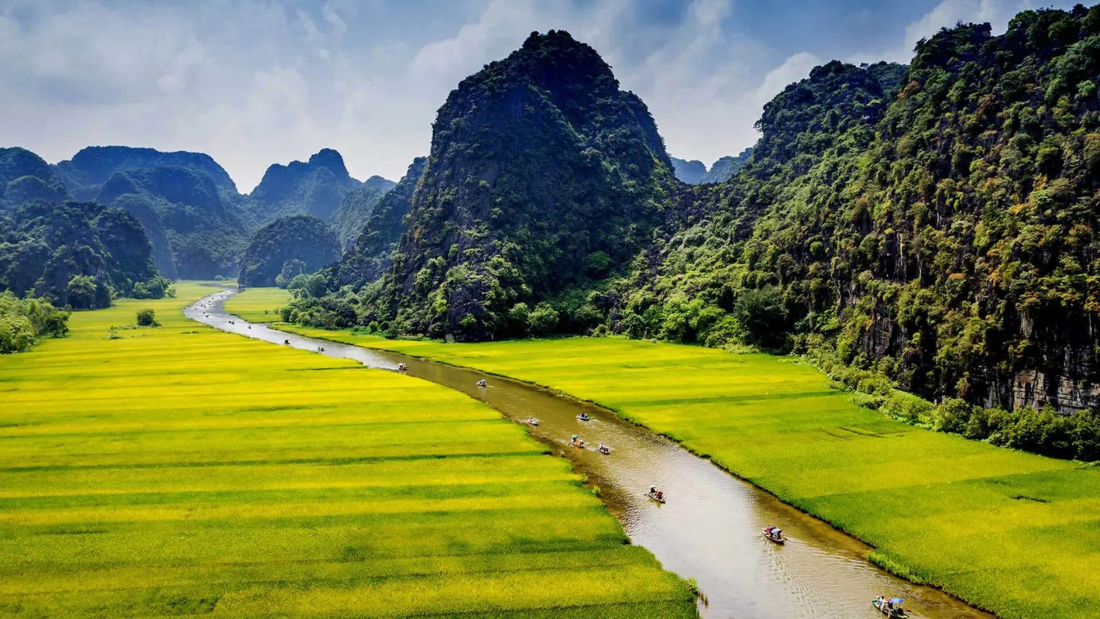 Golden rice fields in Thung Nang valley