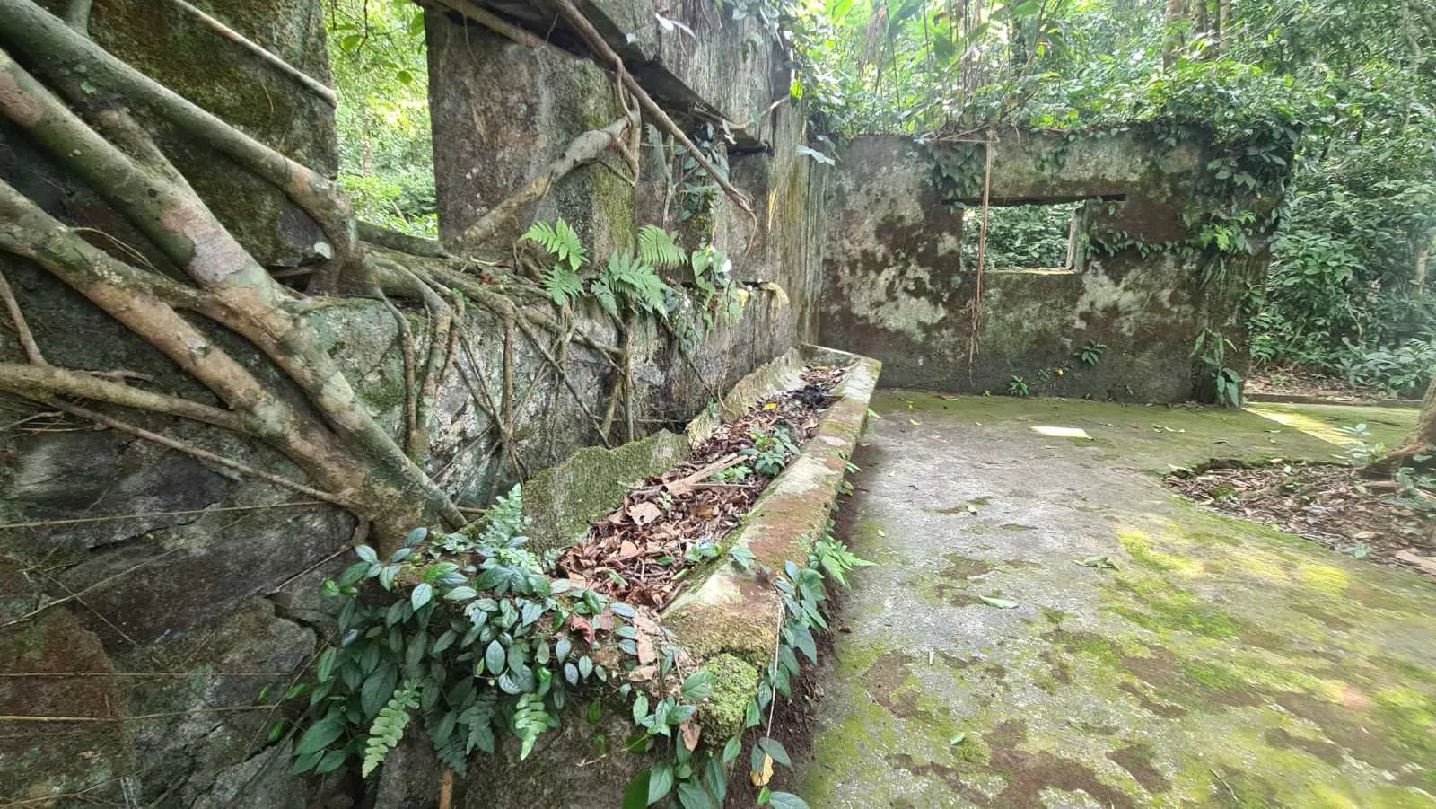 Khách du lịch thích thú cắm trại trên nền móng trại hè Pháp, Ba Vì, Hà Nội
