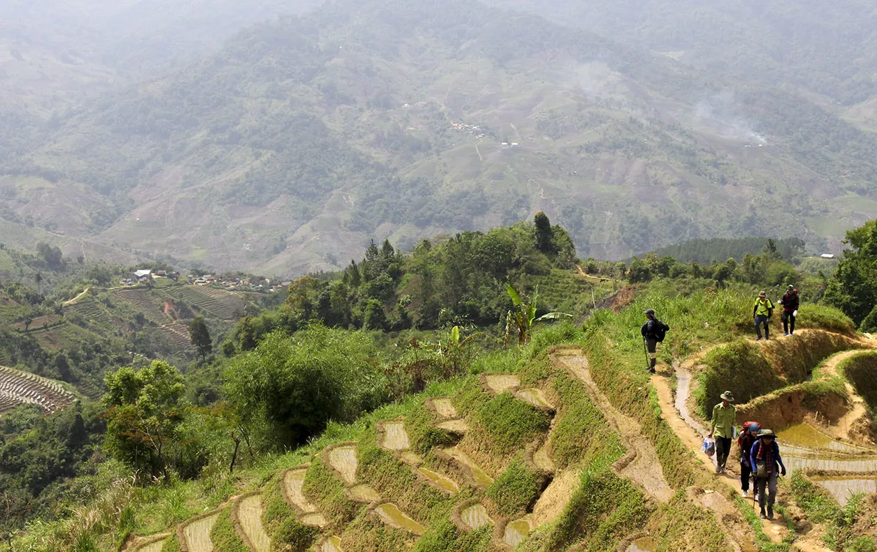 Beautiful terraced rice fields on the trekking route to Mount Ngoc Linh, Kon Tum