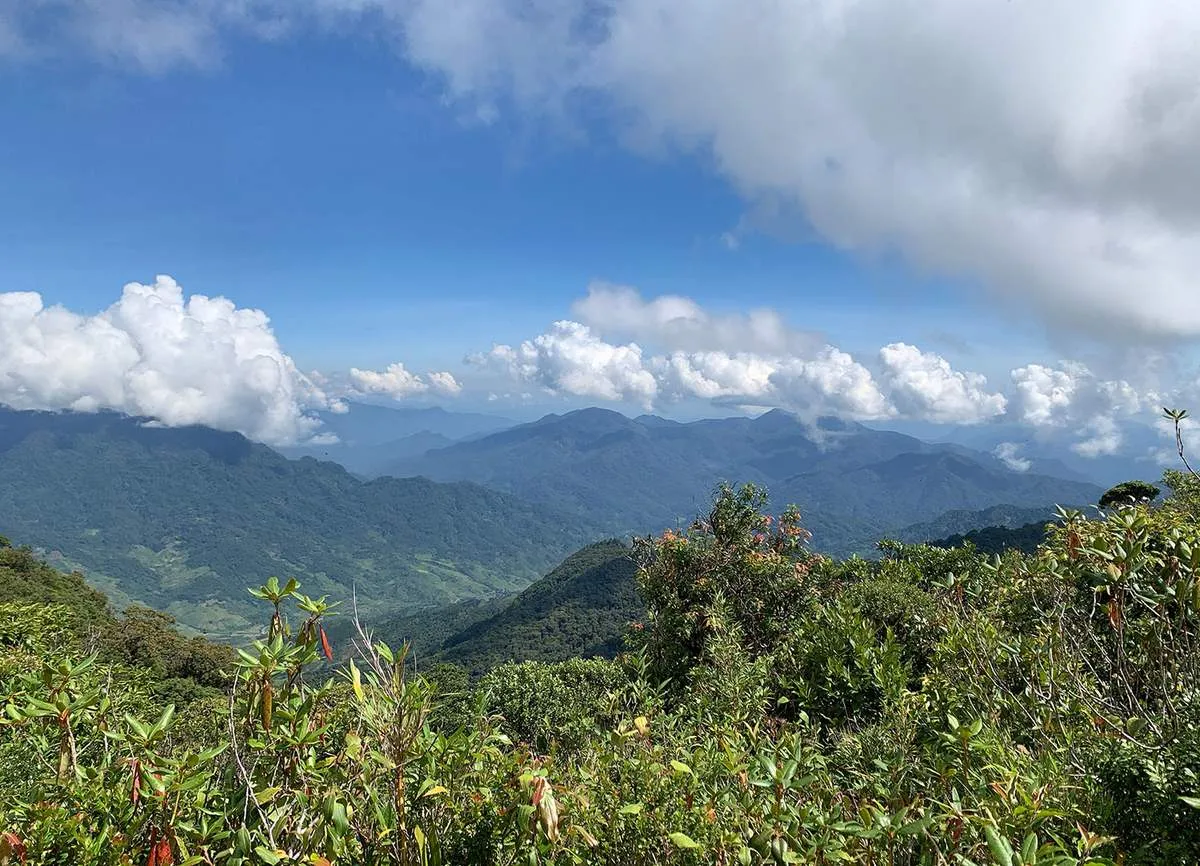 Trekkers standing on the summit of Mount Ngoc Linh, looking out over the Kon Tum mountains and forests
