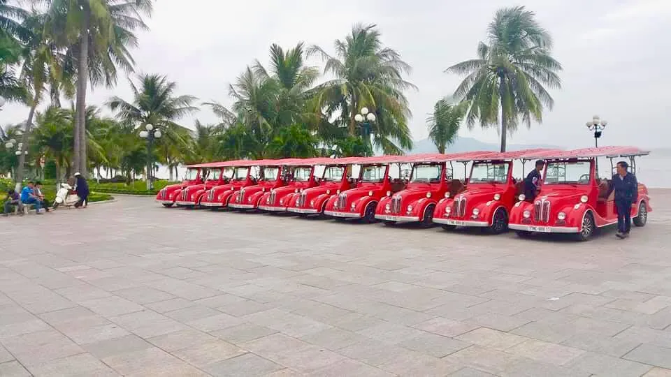 Electric car in Quy Nhon