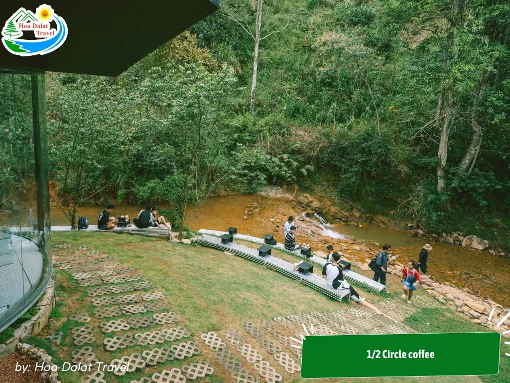 1/2 Circle coffee forest view with super wide space