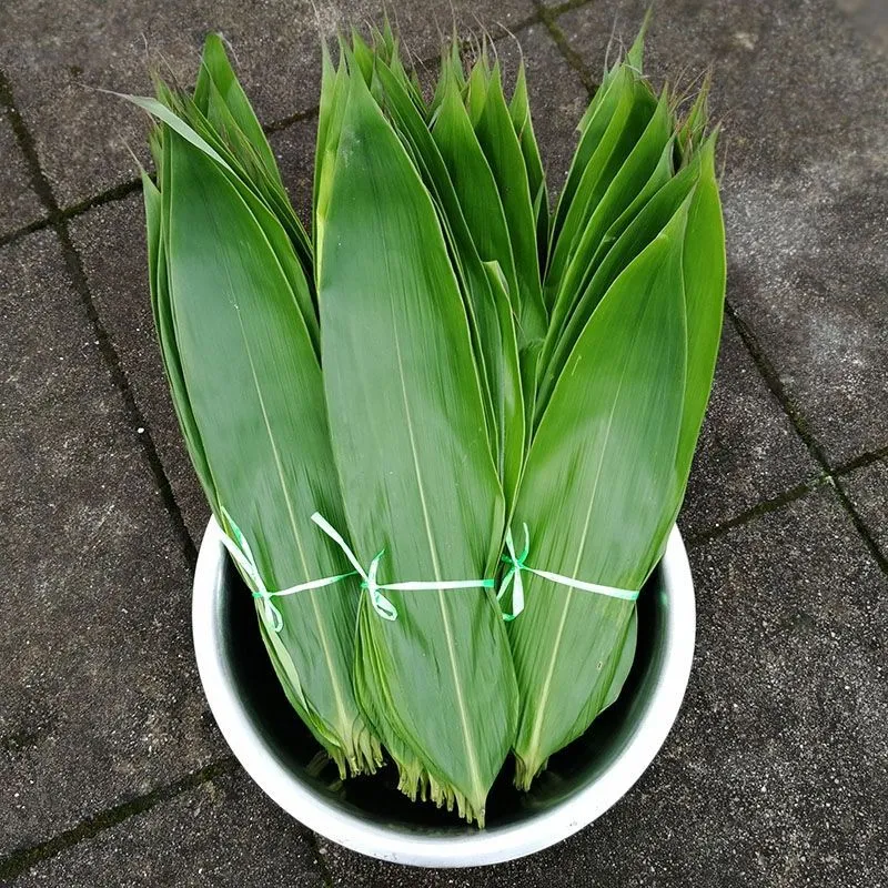 Bamboo leaves, a popular choice for wrapping ash dumplings, imparting a natural aroma and distinctive shape.