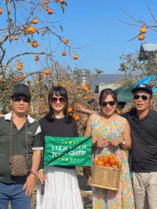 Group of tourists posing in front of plum blossom trees in Moc Chau