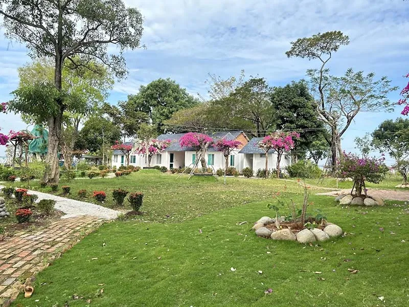 Green lawn and crape myrtle flowers at Bang Lang Glamping