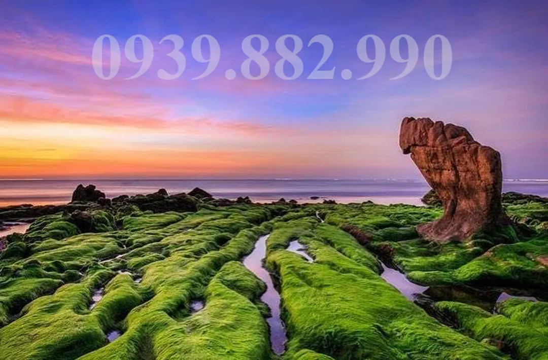 Bãi Đá Cổ Thạch Bình Thuận - Hình 1
