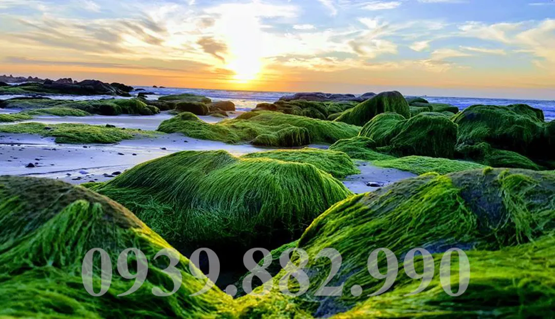 Diverse rock formations at Co Thach Beach, Binh Thuan