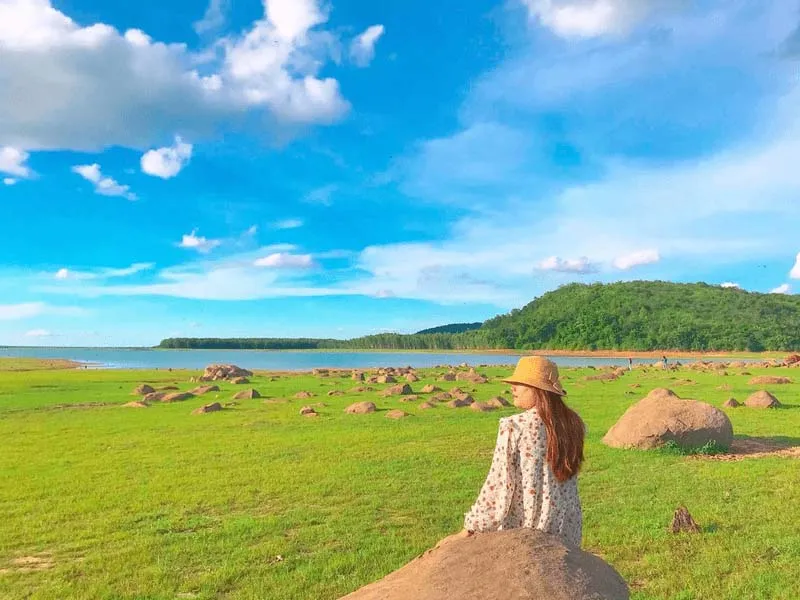 Egg Rock Beach on a sunny day resembles a vast green meadow