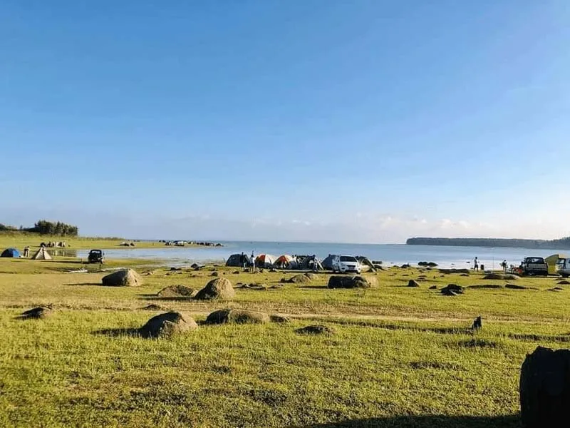 Egg Rock Beach with lush green grass and unique egg-shaped rocks