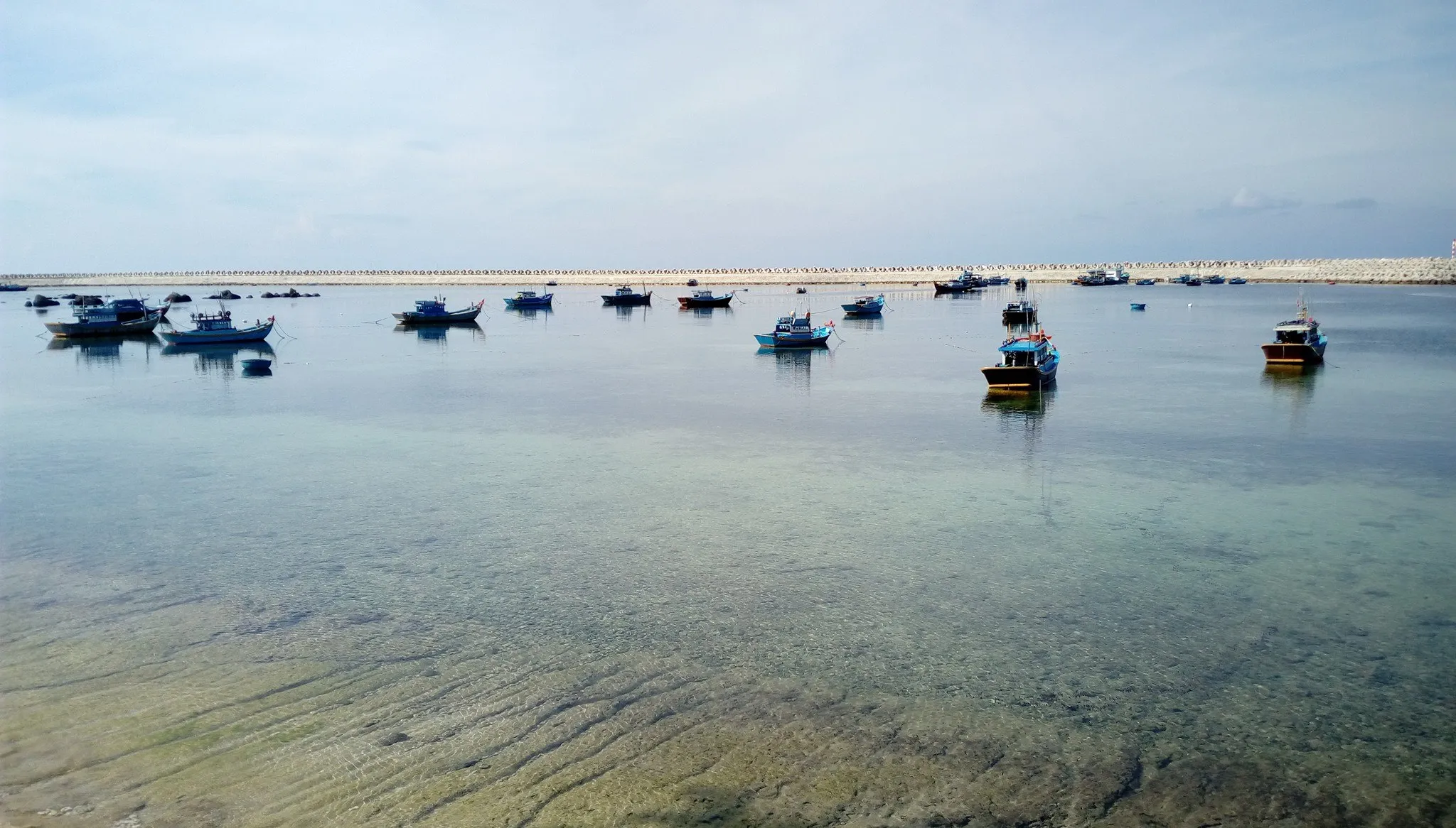 Bai Doi Dua beach in Phu Quy with tall green coconut trees leaning towards the sea