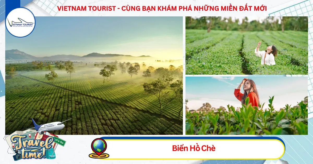 Bien Ho Tea Hill