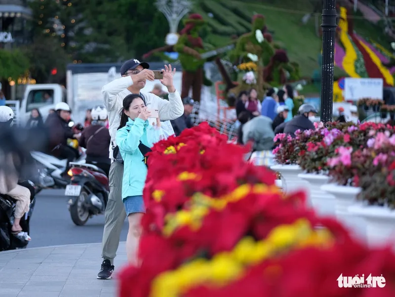 Các con phố ở Đà Lạt được tô điểm với những bông hoa nhiều màu sắc trong dịp Festival hoa Đà Lạt 2024