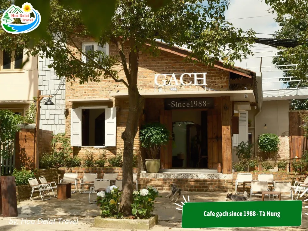 Cafe Gach since 1988 - Ta Nung is decorated eye-catching and lovely