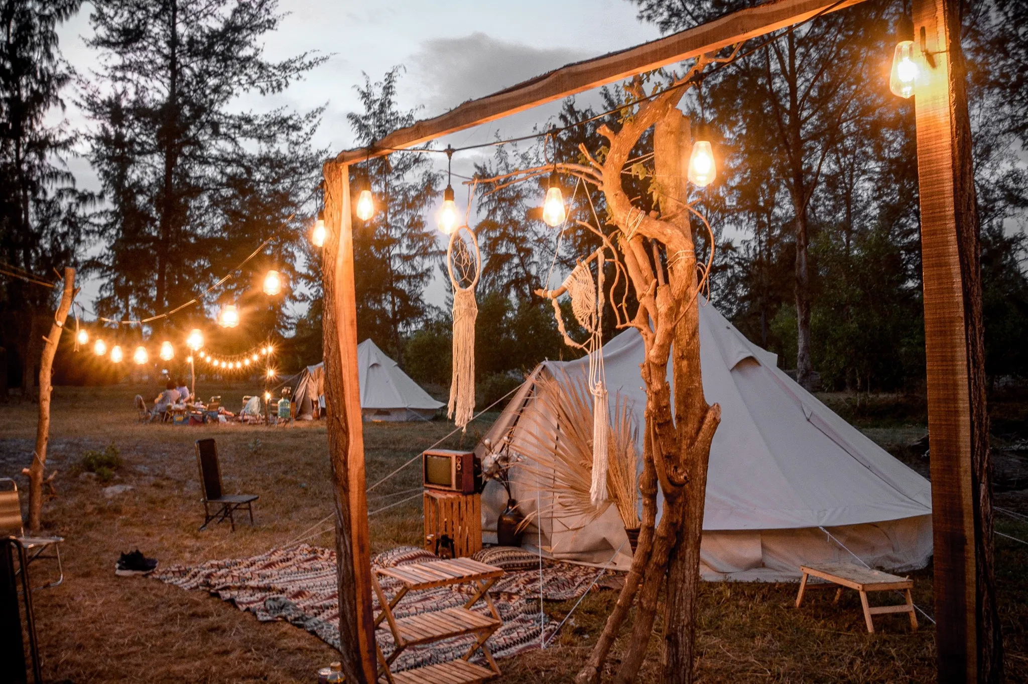 Glamping tents in a natural setting at Di Bui Camping, Vung Tau