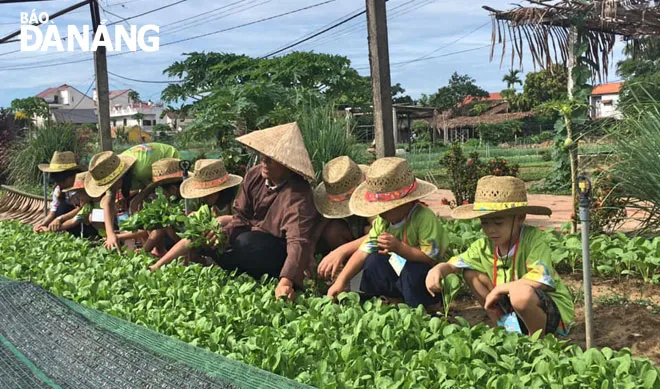 Cánh diều tuổi thơ bay cao trên bầu trời xanh