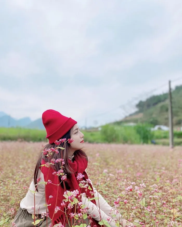 Fields of buckwheat flowers in Ha Giang during the festival season