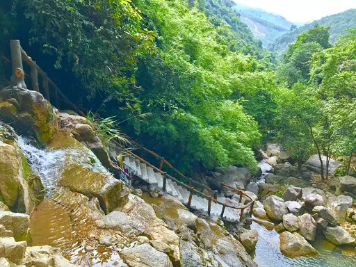Relaxing green scenery with a clear stream