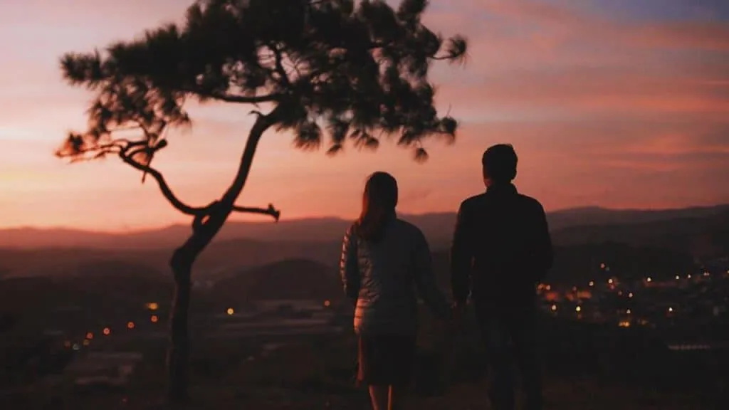 The lonely pine tree on Thien Phuc Duc Hill, Da Lat, becomes a special highlight in the romantic sunset scene.