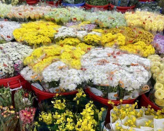 Chợ hoa Hồ Thị Kỷ đa dạng chủng loại hoa tươi từ nhập khẩu đến trong nước