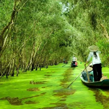 Cai Rang Floating Market - a unique cultural feature of the Mekong Delta