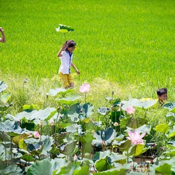 Chùa Vĩnh Tràng, Mỹ Tho với kiến trúc độc đáo