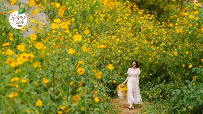 Girl in a vibrant yellow wild sunflower garden in Da Lat