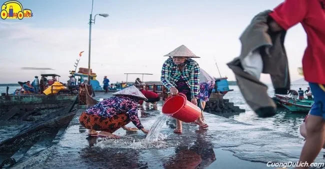 Con đường dẫn vào xã đảo Thạnh An yên bình