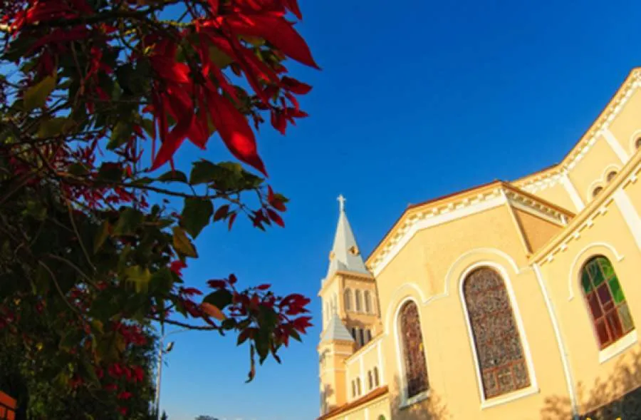 A vibrant Flamboyant flower path leading visitors to Da Lat Chicken Church.